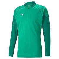 PUMA teamCUP Training 14 Zip Top Pepper Green