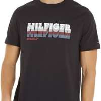 Tommy Hilfiger Men Fade Hilfiger Tee SS T-Shirts