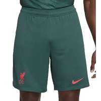 NIKE Men’s 202223 Season Official Third Kit Shorts