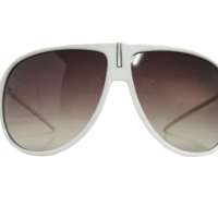 POLAROID PLD 4136S Beige men’s sunglasses