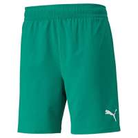 PUMA Teamfinal Shorts – Men’s Shorts