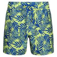 DKNY Mens Swim TrunksShorts in LimeBlue Leaf Print