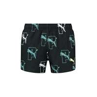 PUMA Men’s Shorts