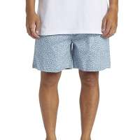 Quiksilver Taxer – Walk Shorts for Men