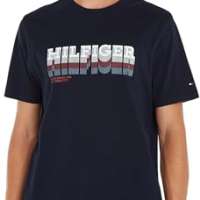 Tommy Hilfiger Men Fade Hilfiger Tee SS T-Shirts